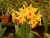 k-DSCN7834.JPG