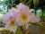 k-DSCN7837.JPG