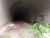 IMAG0734.jpg