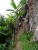 DSC09177.JPG