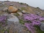 DSC09712.JPG