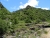 DSC00137.JPG