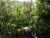 DSC01051.JPG