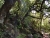 DSC01110.JPG