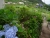 DSC01203.JPG