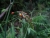 DSC01198 Kopie.JPG