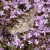 DSC01503.JPG