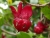 DSC01779.JPG