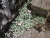 DSC02689.JPG