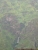 k-P1170387.JPG