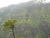 k-P1170388.JPG