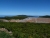 P1080544.JPG