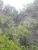 k-P1180990.JPG