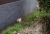 DSC09253.JPG