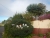 DSCN5717.JPG