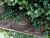 DSC02513.JPG
