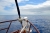 05-06-2018-Gross 040.JPG