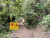 Levada da Serra do Faial Richtung Ribeira da Faja da Nogueira .jpg