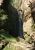 Winter-Wasserfall2021.jpg