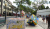 P1070244klein.jpg