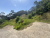 IMG_6965.jpeg