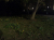 IMG_20260412_214210.jpg