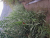 k-20260722_103340.jpg