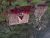 k-20260725_105800.jpg