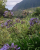 k-20260717_124537.jpg