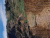 k-20260719_132618.jpg