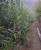 k-20260722_103340.jpg