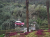 k-20260725_104504.jpg