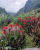 k-IMG-20260717-WA0049.jpg
