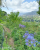 k-IMG-20260725-WA0076.jpg