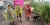 20180717_124136_resized_1.jpg
