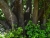 DSC02585.JPG
