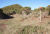 DSC04144.JPG
