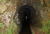 DSC03065.JPG